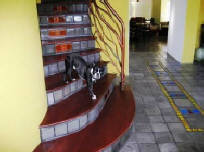 Concrete tile made then stained and installed by homeowner Larry Bodenhamer.