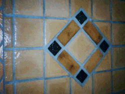 Cement floor tiles.